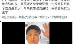 爆料汪小菲钟老师视频,揭秘背后惊人真相